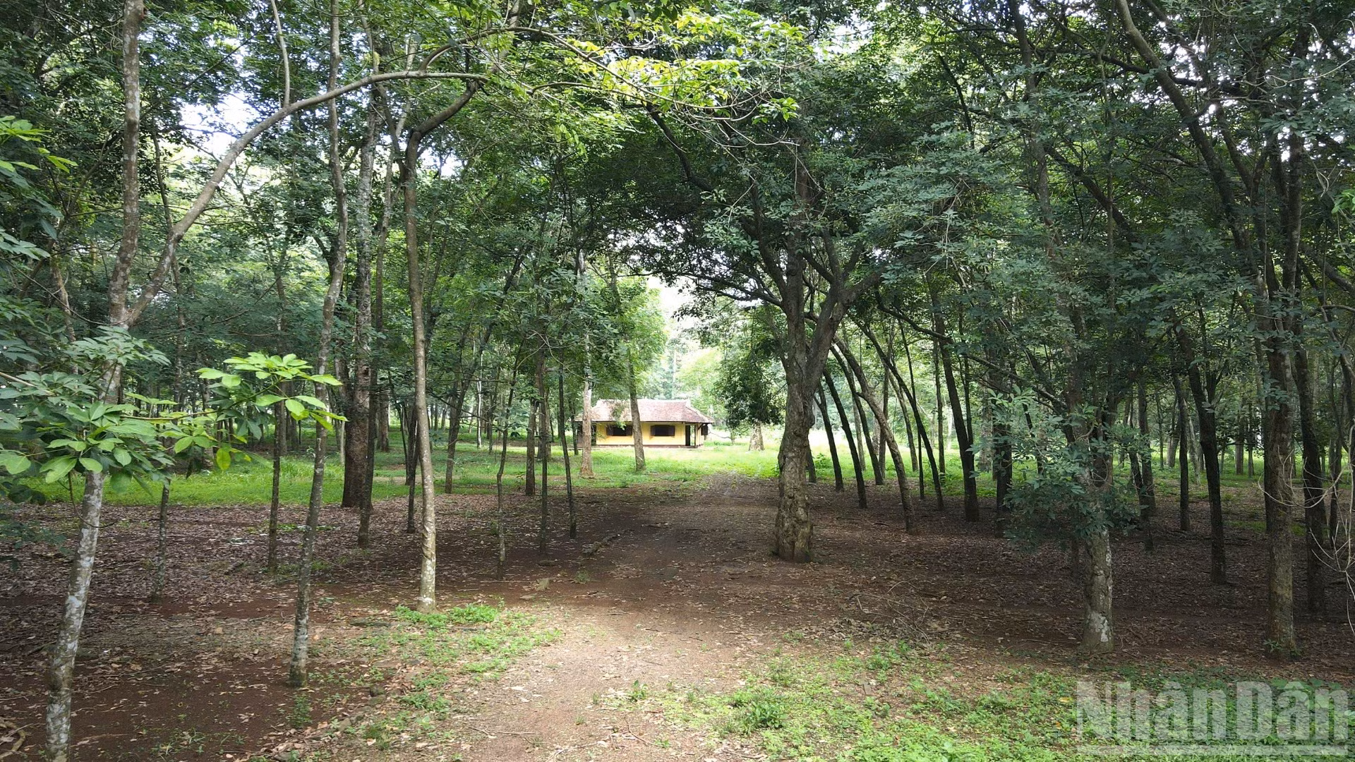 ndo_br_z7978402466512-c9f06279cabc386fcb416cb33a36b062-5347.jpg