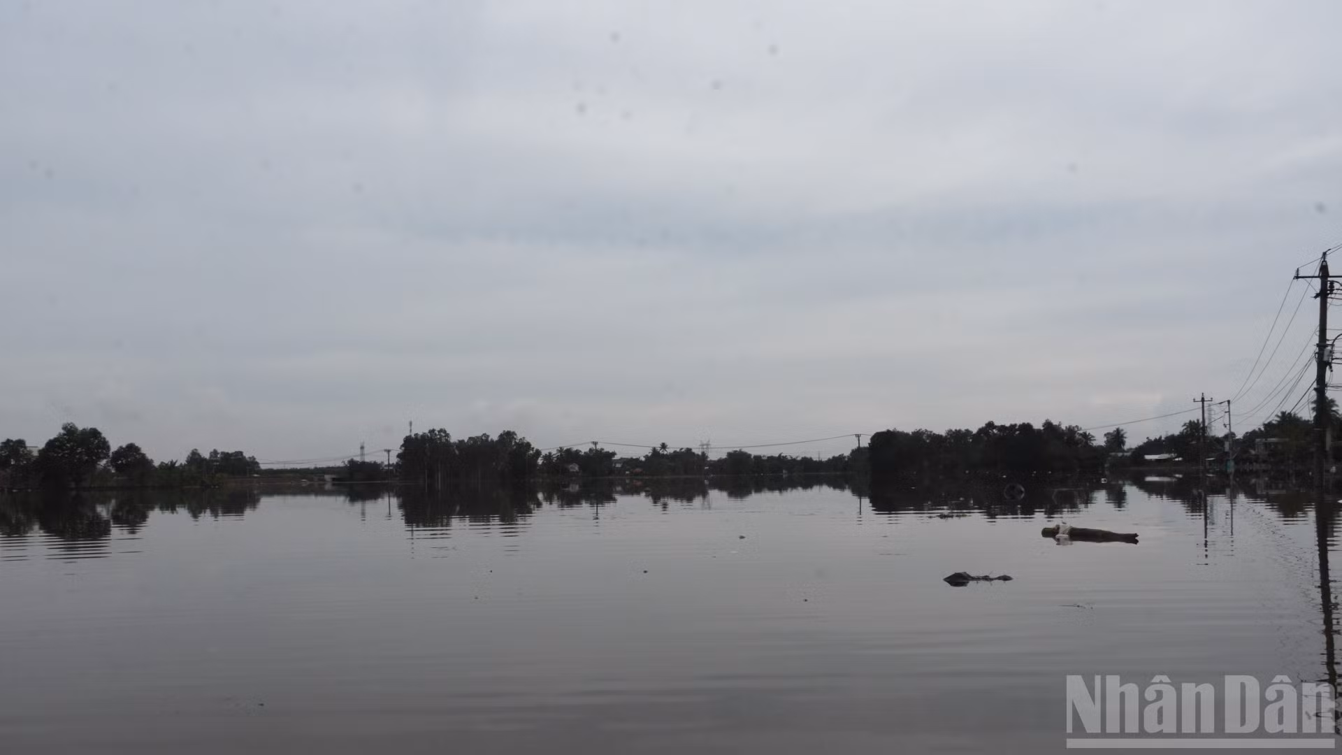 ndo_br_18-3221.jpg