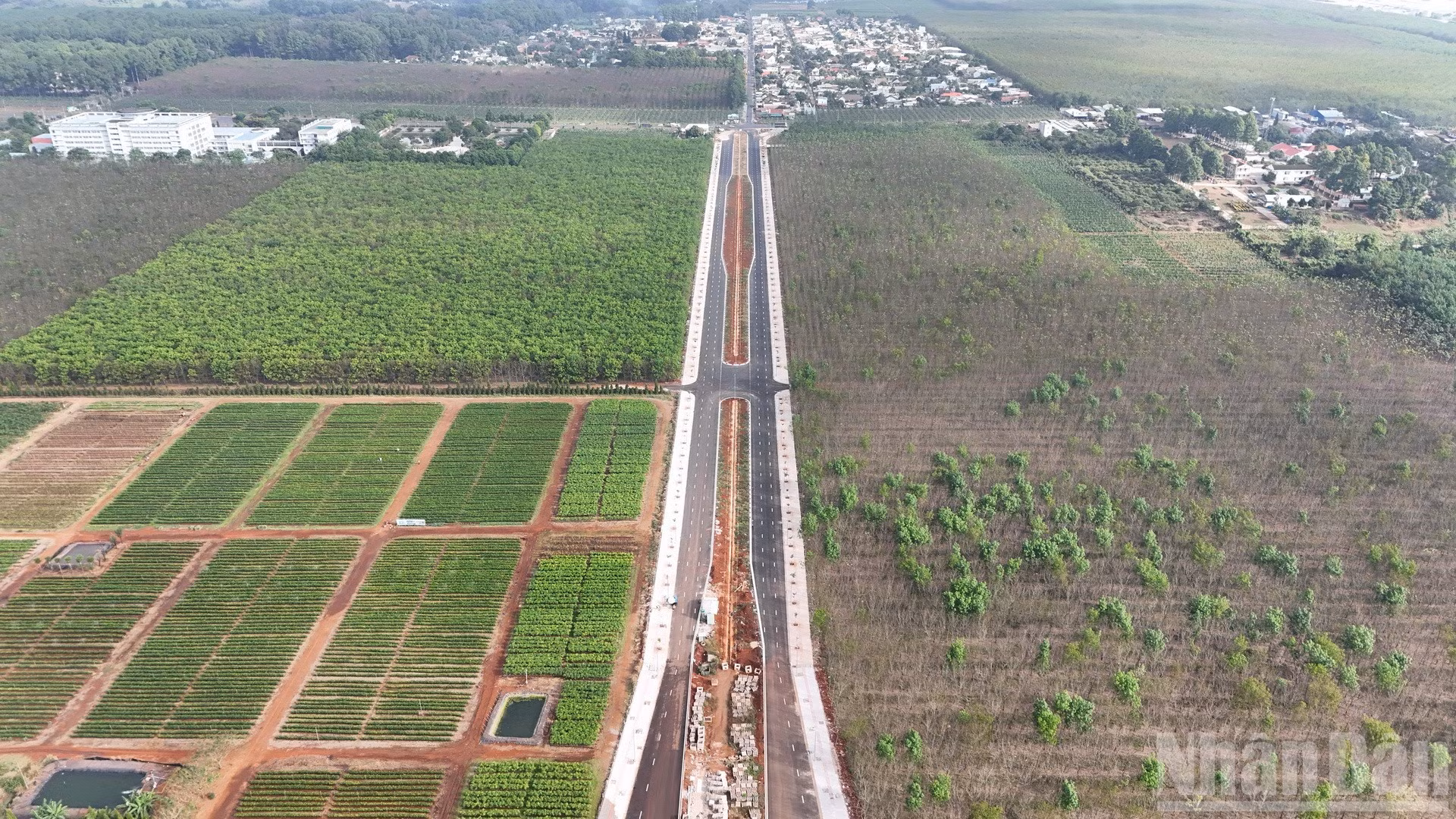 ndo_br_dji-20260203094026-0809-d-resize-3427.jpg