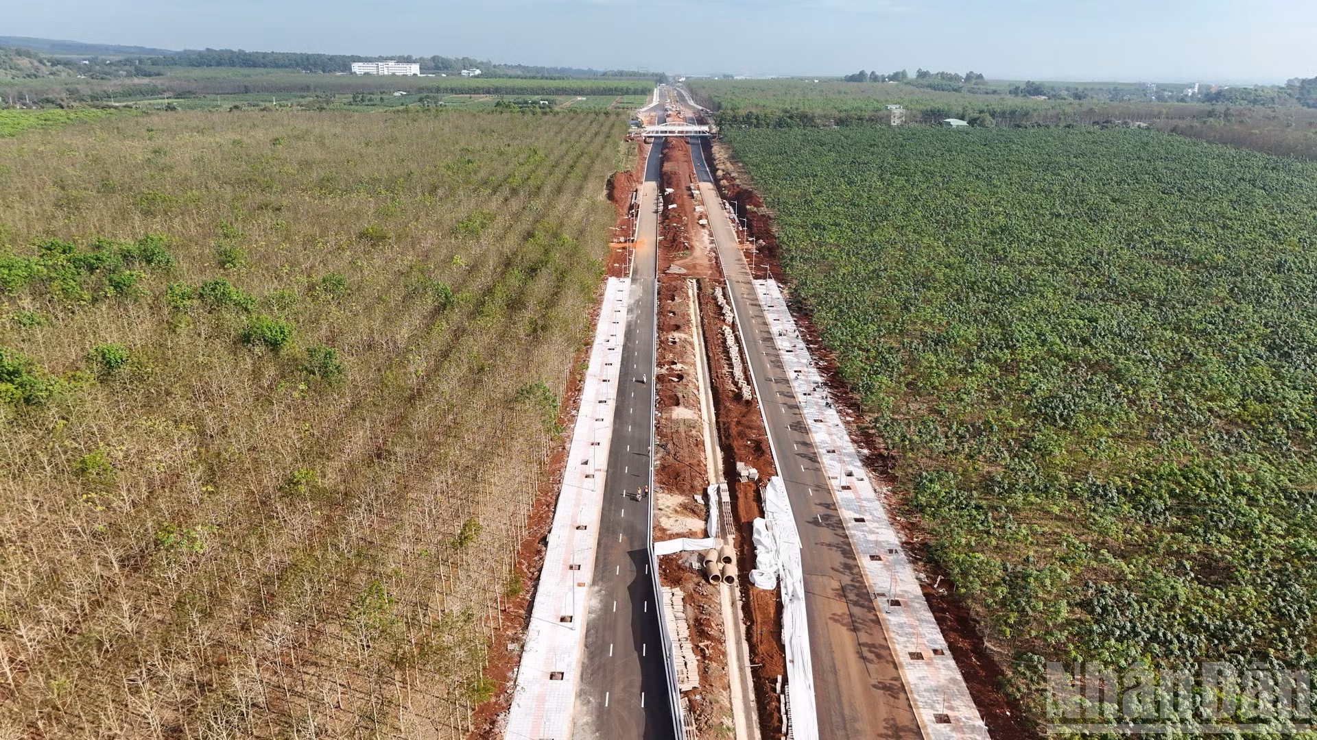 ndo_br_dji-20260203094313-0828-d-resize-7339.jpg