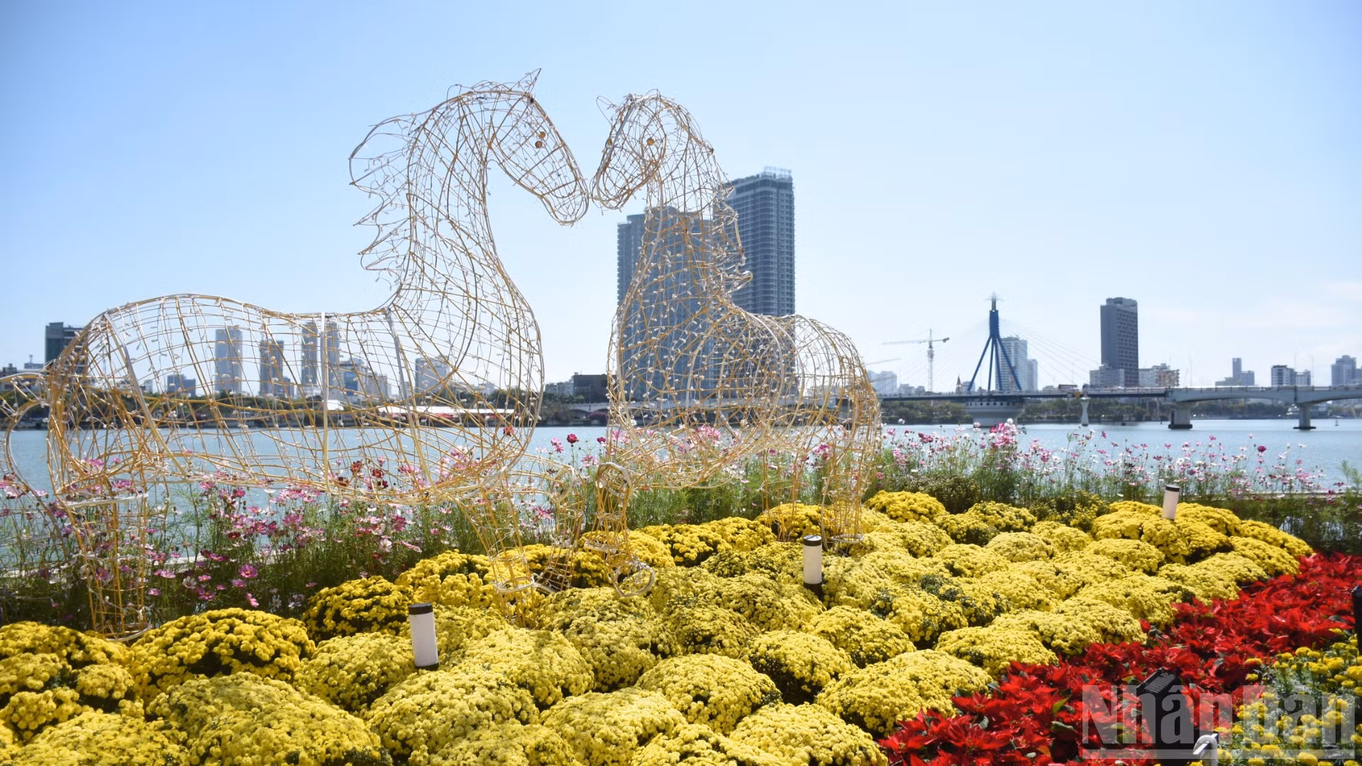 ndo_br_ket-589.jpg