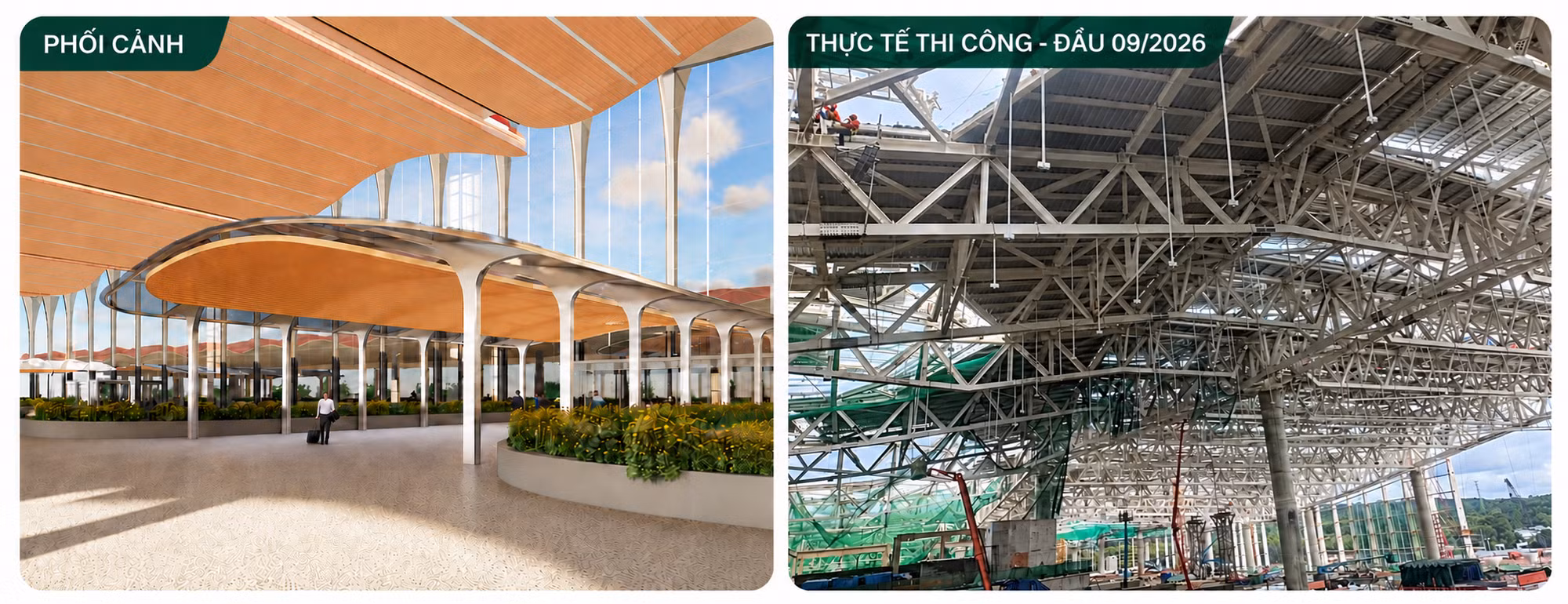 cang-hang-khong-9194.png