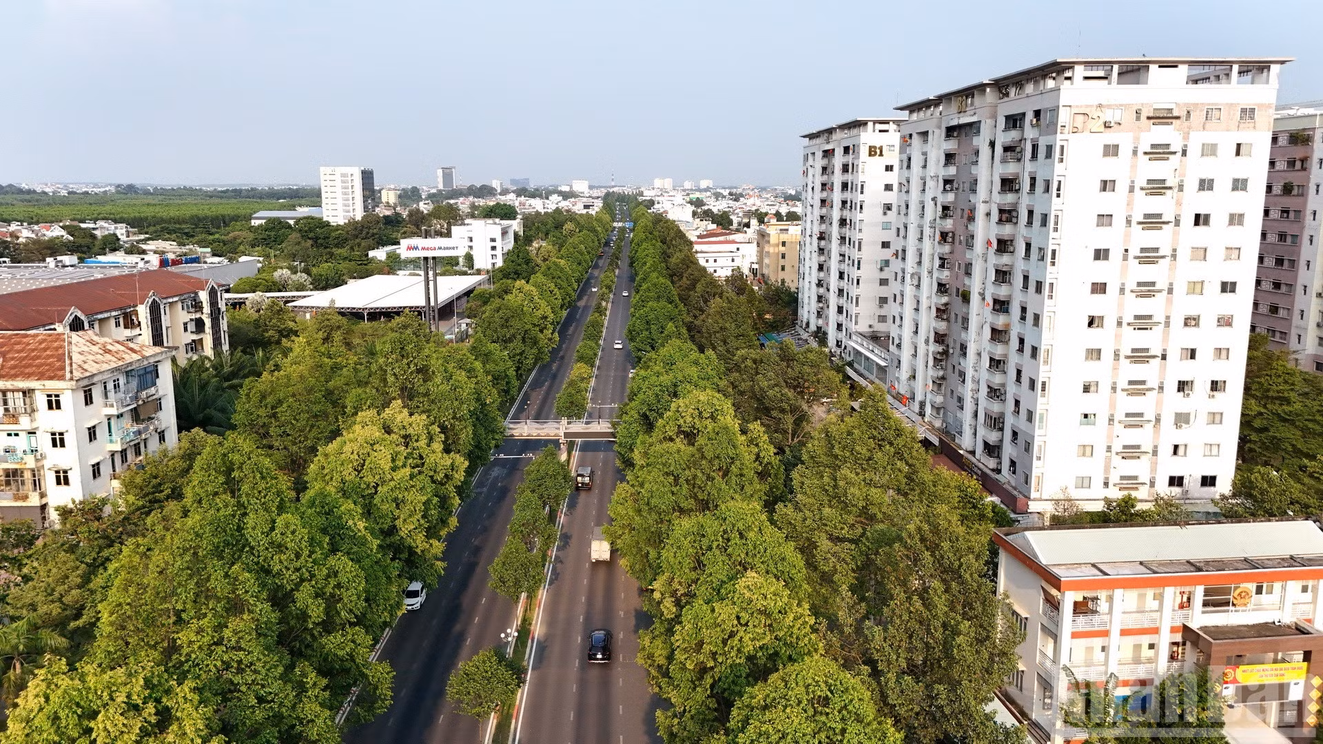 ndo_br_dji-20260330175827-0190-d-resize-636-2666.jpg