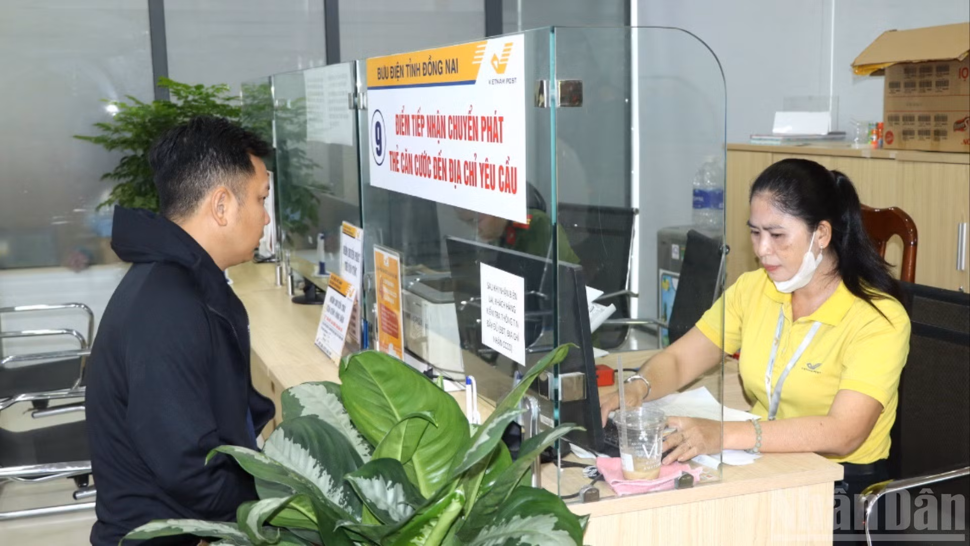 ndo_br_13-resize-4677.jpg