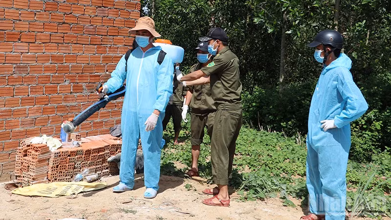 ndo_br_2.jpg