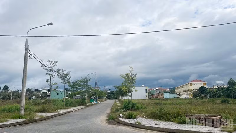 ndo_br_10.jpg