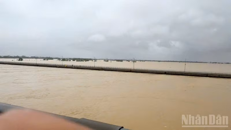 Nước sông Thu Bồn tại Câu Lâu ở mức xấp xỉ lũ lịch sử.
