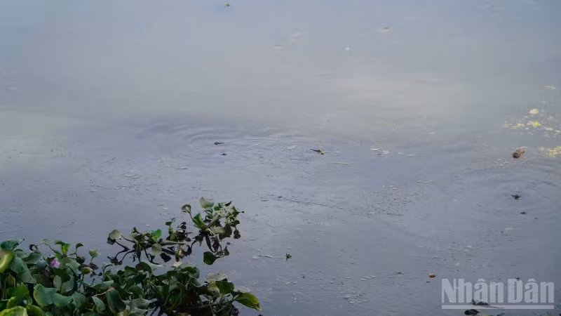 ndo_br_z6930040014457-b9173a78a64d77757f3262a3937af4ba.jpg