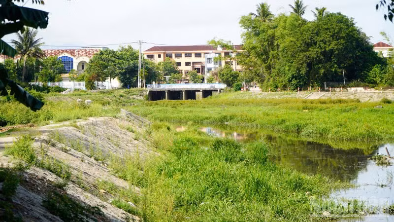 Do nằm ở điểm cuối của mương thoát nước ADB chợ Vườn Lài nên hồ điều hòa Duy Tân thường xuyên đón nhận lượng lớn rác và nước thải sinh hoạt.