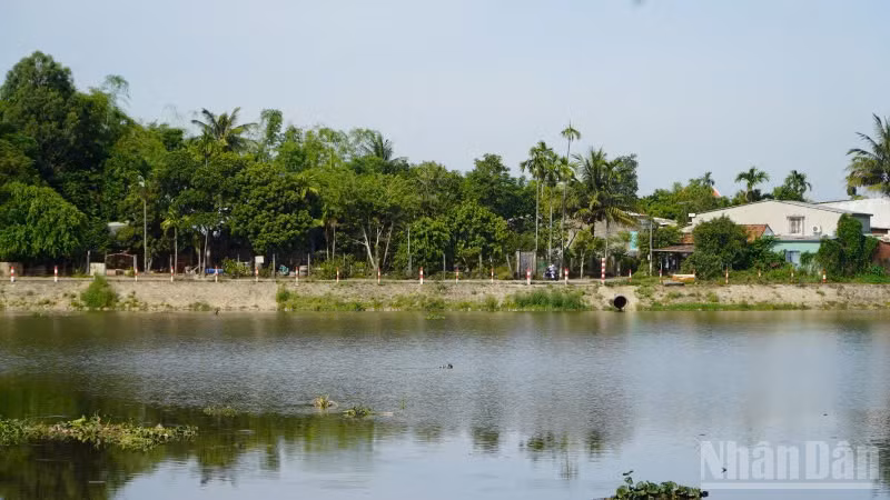 ndo_br_z6930044915956-0148fc9b6a8ec56fdaebf369988be7d7.jpg