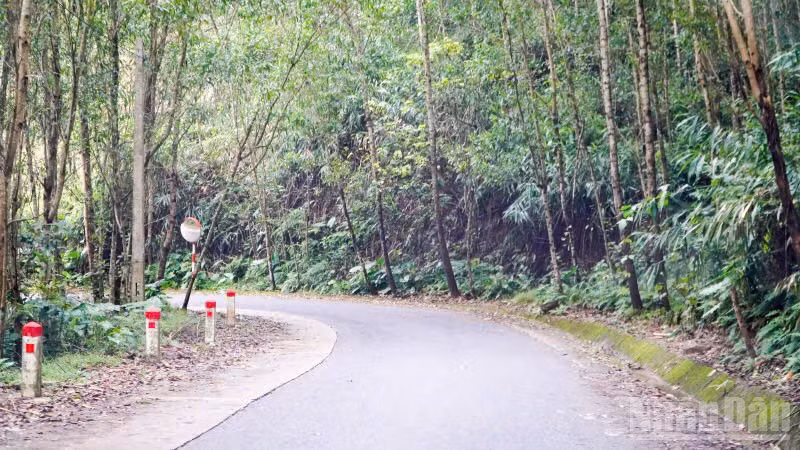 ndo_br_z7891900876287-4c1577940e1eff69c6fdc31372ff2db3.jpg