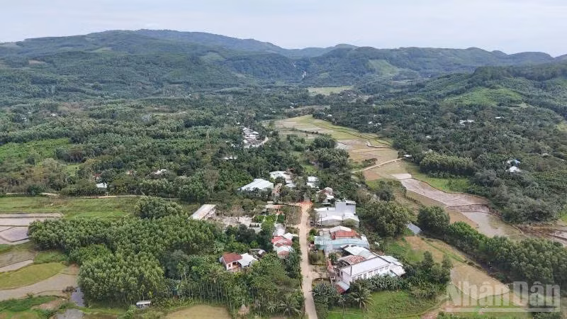 ndo_br_z7283488596098-1b9614ac514d65c44c9d17f639236506.jpg