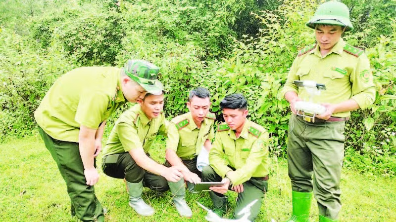 Cán bộ Kiểm lâm tỉnh Sơn La ứng dụng các thiết bị công nghệ, phần mềm trong quản lý, giám sát và bảo vệ rừng. (Ảnh: NGỌC TUẤN)