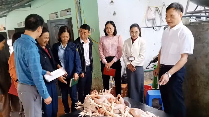 Tuyên Quang thành lập 2 đoàn kiểm tra về an toàn thực phẩm trong dịch vụ ăn uống và thức ăn đường phố.