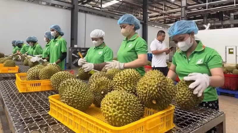 Hiện hệ thống truy xuất nguồn gốc của Việt Nam đã cập nhật khoảng 18.000 sản phẩm của 26/34 tỉnh, thành phố, với 255 vùng trồng và 149 doanh nghiệp tham gia.