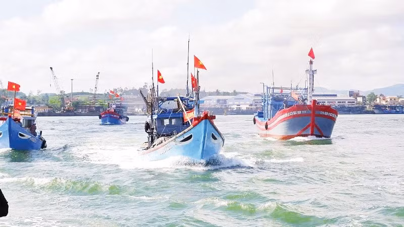 Đội tàu cá của ngư dân thành phố Đà Nẵng vươn khơi khai thác hải sản. (Ảnh: LAN ANH)