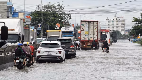 Mưa lớn khiến Quốc lộ 1A, đoạn qua phường Hàm Thắng, tỉnh Lâm Đồng ngập khá sâu. Hình ảnh ghi nhận chiều 24/9. (Ảnh: BẢO VĂN)