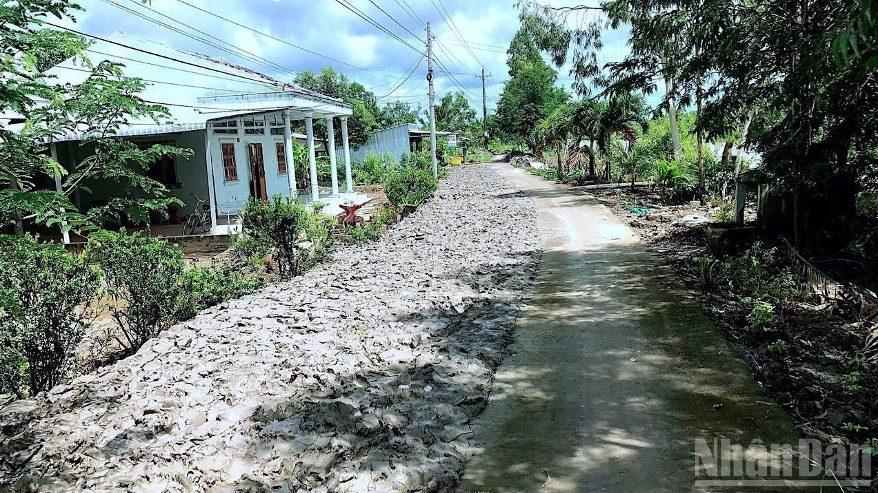 Nhân dân xã Tân Duyệt (huyện Đầm Dơi, tỉnh Cà Mau) hùn tiền gia cố, cơi nới, mặt bằng đất đen phục vụ mở lộ lộ nông thôn. (Ảnh chụp năm 2022). lo-nong-thon-3-9419-316.jpg
