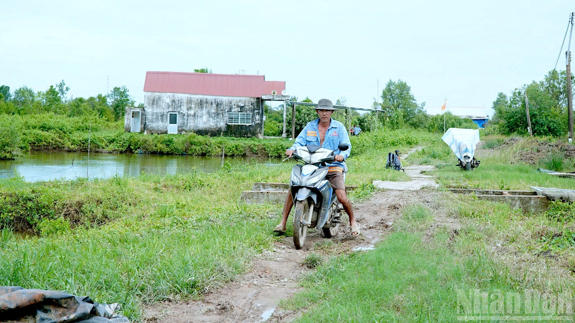 Người dân ấp Trại Lưới A (xã Đất Mới, tỉnh Cà Mau) đi lại khó khăn trong lúc chờ con lộ mới. ndo_br_lo-nong-thon-14-6581.jpg