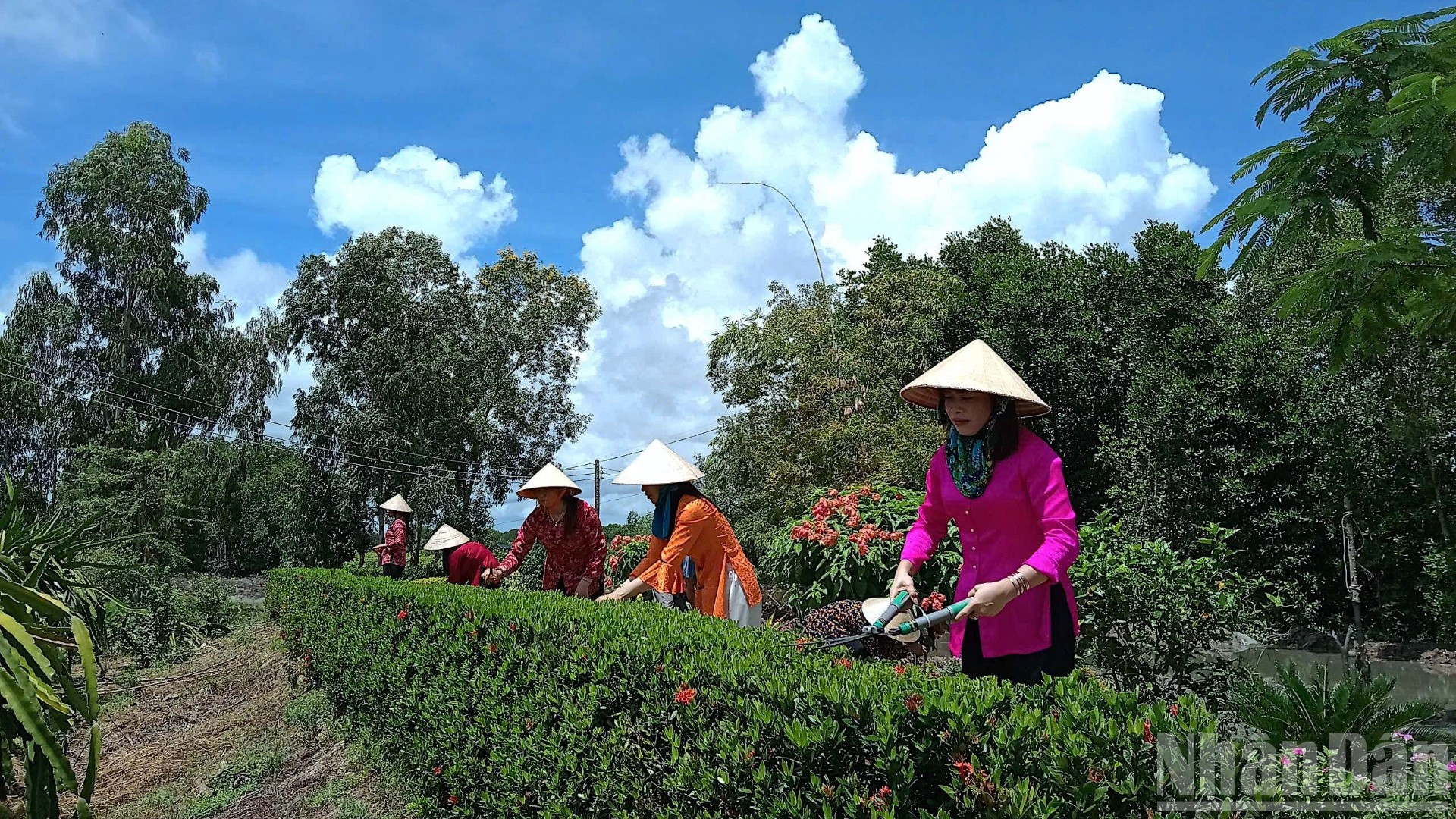Khi có sự đồng lòng từ nhân dân, vùng quê trở nên xanh-sạch, tình làng nghĩa xóm thêm gắn kết, trật tự trị an được bảo đảm an toàn... ndo_br_vi-dan-14-2626.jpg