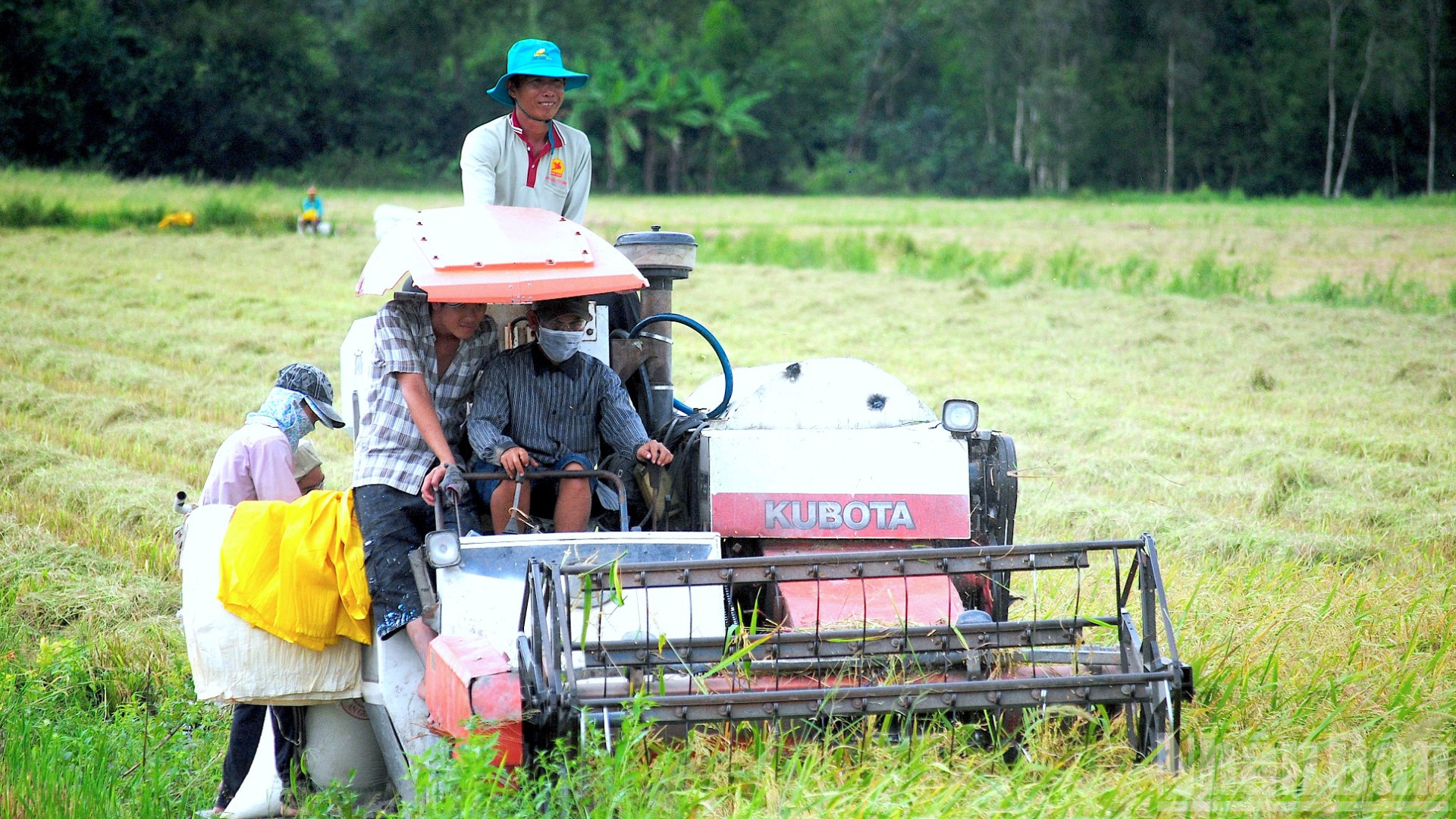 Tiến bộ khoa học, kỹ thuật thúc đẩy nhanh cơ giới hóa trong nông nghiệp, làm lợi sức dân và nâng cao hiệu quả sản xuất. ndo_br_vi-dan-8-7802.jpg