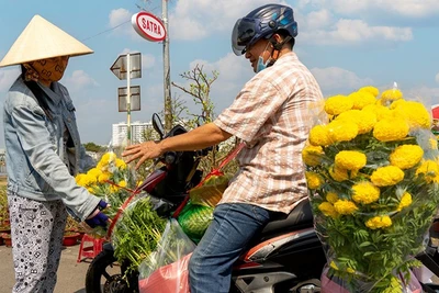 Chợ hoa xuân Bình Điền là điểm du xuân không thể thiếu đối với nhiều khách du lịch. (Ảnh: SATRA) 
