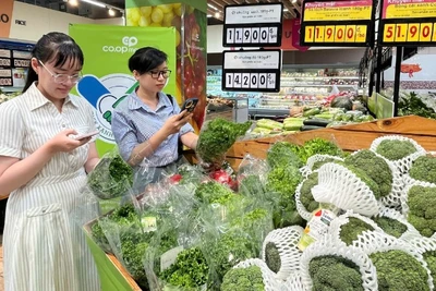 Người tiêu dùng tìm mua thực phẩm đạt chứng nhận “Tick xanh trách nhiệm” tại một siêu thị Co.opmart ở Thành phố.