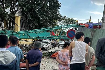 Hiện trường vụ gãy cần cẩu gây sập tường Bảo tàng Điêu khắc Chăm Đà Nẵng.