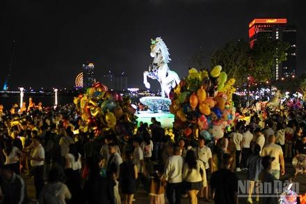 Đường hoa Bạch Đằng thành phố Đà Nẵng đêm 16/2 (29 Tết).