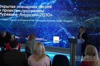 Một phiên họp trong khuôn khổ EEF-2025. (Ảnh: XUÂN HƯNG)