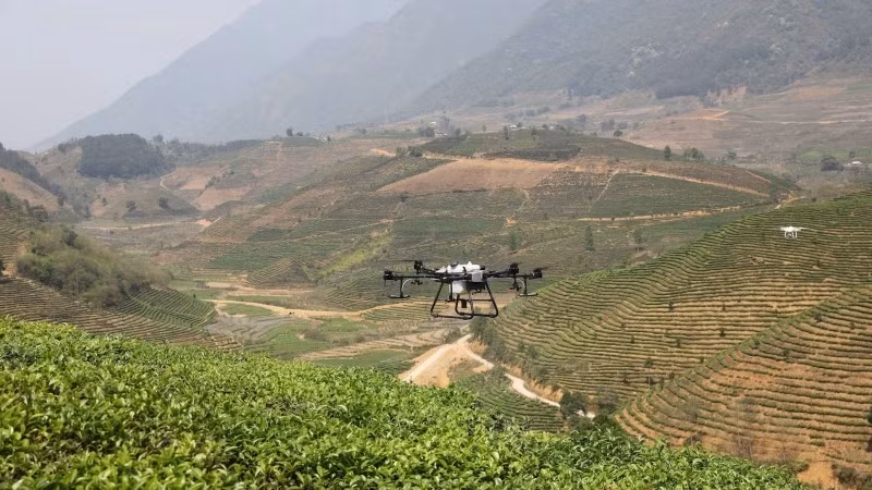 Sử dụng thiết bị bay không người lái (drone) trong sản xuất nông nghiệp trên địa bàn tỉnh Lai Châu. (Ảnh: MINH ANH)