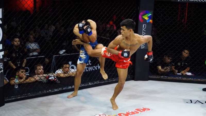 LC29 thu hút nhiều cặp đấu nổi tiếng, hứa hẹn những trận đấu kịch tính và hấp dẫn.