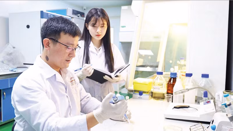 Tiến sĩ Lê Văn Nhân hướng dẫn đồng nghiệp kiểm tra các hợp chất trong cao chiết lá cây mật gấu (Ảnh: MINH ĐỨC)