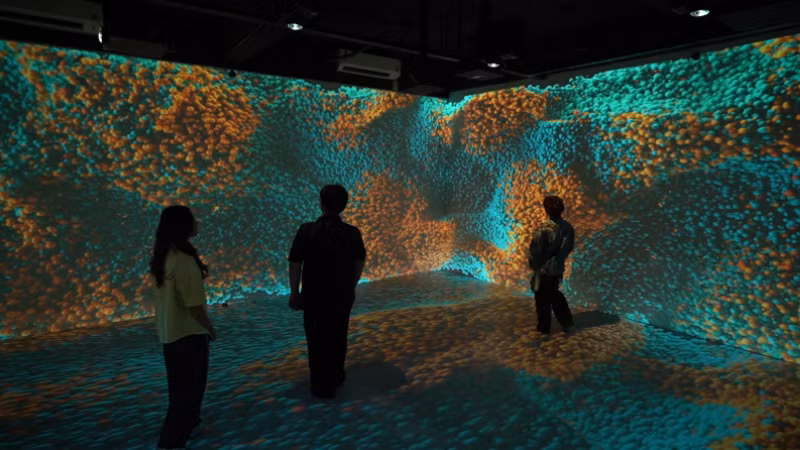 UEH đưa vào vận hành không gian học tập Immersive Room.