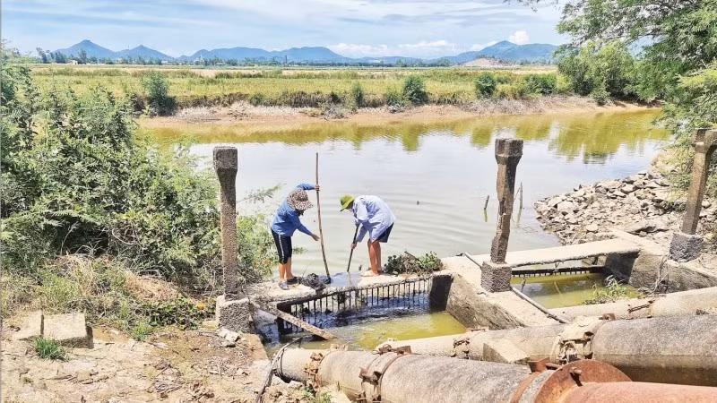 Vớt rác khơi thông dòng chảy bảo đảm nguồn nước cho sản xuất vụ hè thu năm 2025 ở Nghệ An.