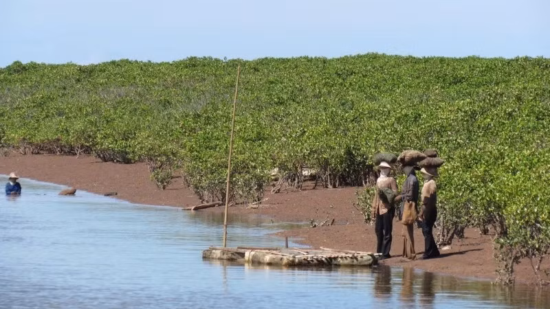 Người dân địa phương tranh thủ bắt cáy, don khi vào mùa.