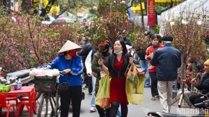 (Ảnh minh họa: NHẬT QUANG)