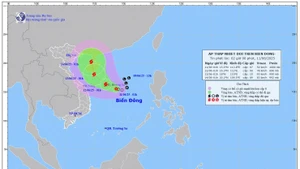 Bản đồ dự báo quỹ đạo và cường độ áp thấp nhiệt đới lúc 2 giờ sáng 11/6. (Ảnh: Trung tâm Dự báo khí tượng thủy văn quốc gia)
