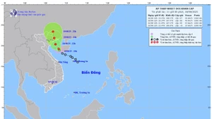 Bản đồ dự báo quỹ đạo và cường độ áp thấp nhiệt đới lúc 11 giờ ngày 18/8/2025. (Ảnh: Trung tâm Dự báo khí tượng thủy văn quốc gia)