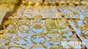 (Ảnh: NGỌC BÍCH)