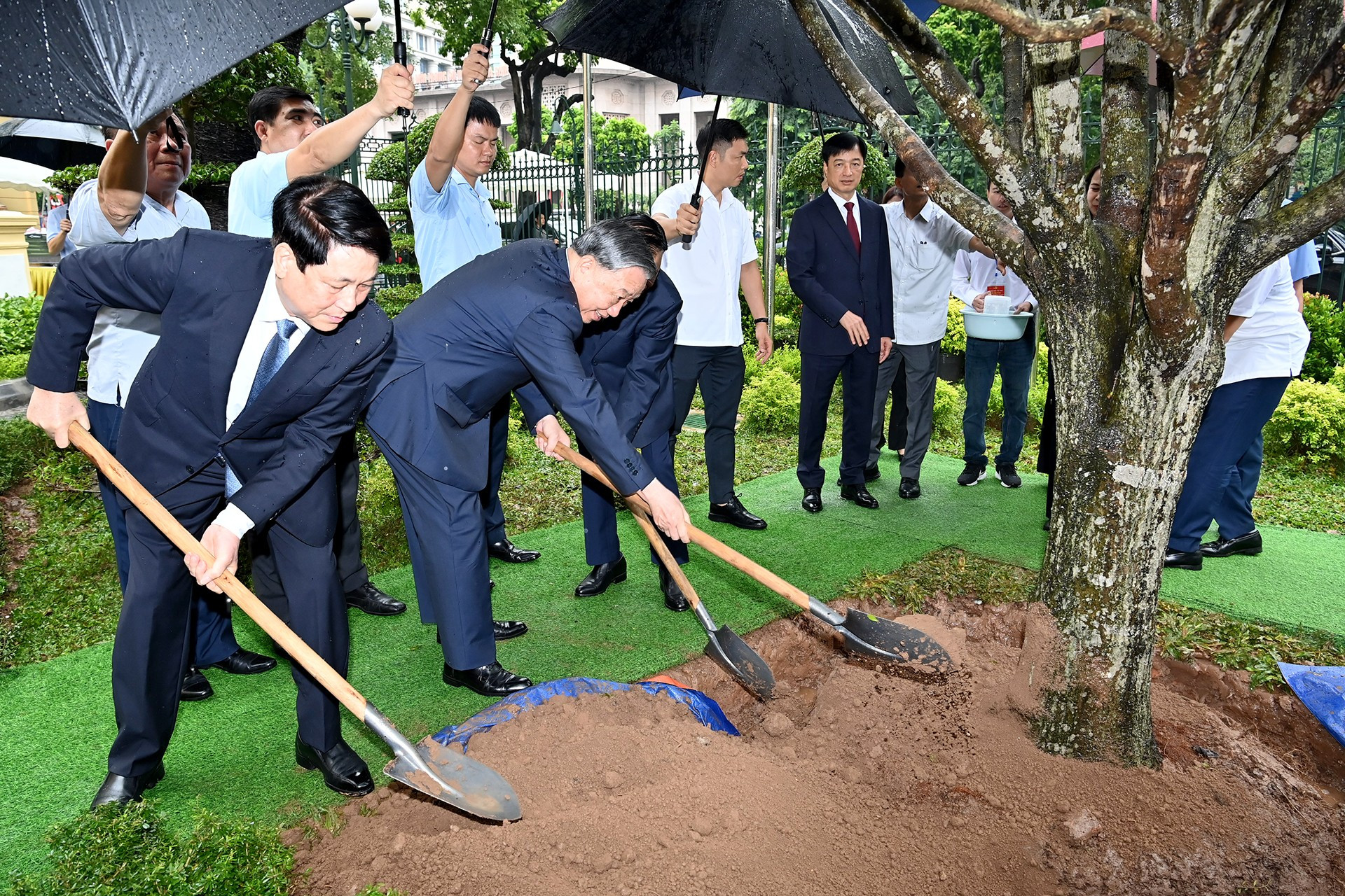 เลขาธิการโตลัมและประธานเลืองเกื่องปลูกต้นไม้ที่ระลึกที่สำนักงานประธานาธิบดี anh-6-bnd-3504.jpg