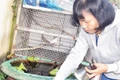 Biện pháp phòng bệnh sốt xuất huyết hiệu quả nhất vẫn là diệt muỗi, diệt lăng quăng/bọ gậy và tránh muỗi đốt. (Ảnh: BÁO NHÂN DÂN)