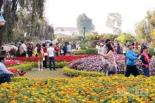 Du khách trải nghiệm vườn hoa trên địa bàn phường Lâm Viên, Đà Lạt.