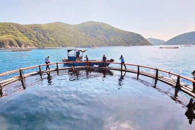 Mô hình nuôi biển công nghệ cao tại tỉnh Khánh Hòa. (Ảnh KIM SƠ)