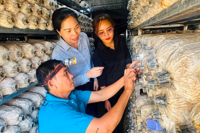 Bí thư Đảng ủy xã Ngọk Bay Trần Thị Phong Lan khảo sát quy trình sản xuất nấm tại Hợp tác xã hữu cơ Biology.