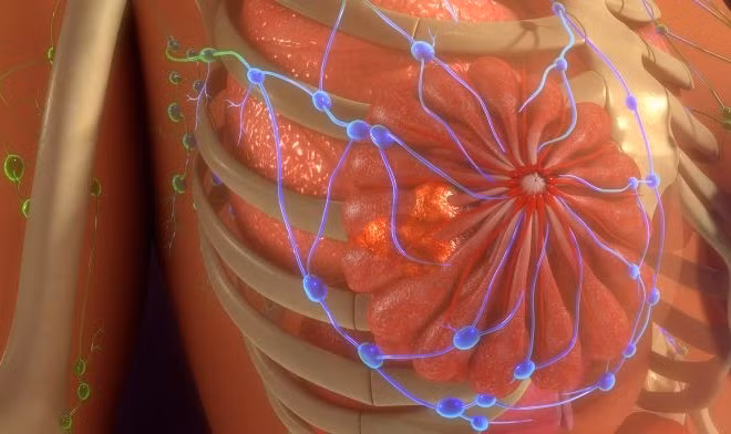 Tìm ra giải pháp tối ưu hóa thuốc điều trị ung thư vú Tamoxifen
