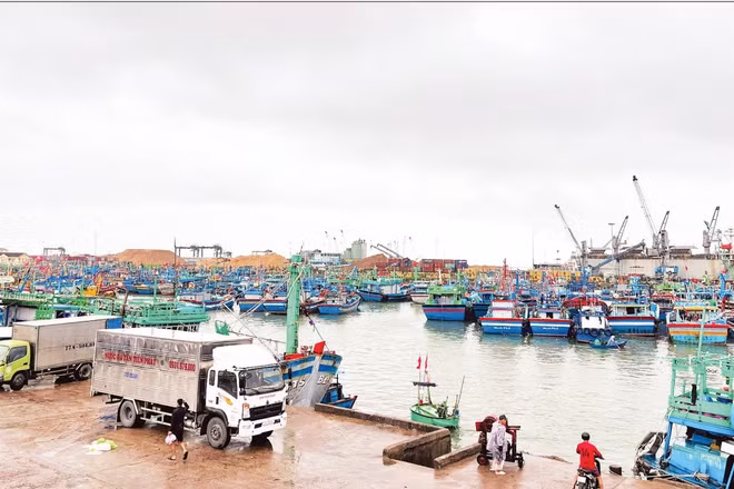Cảng cá Quy Nhơn nhìn từ trên cao. (Ảnh HOÀNG QUÂN)