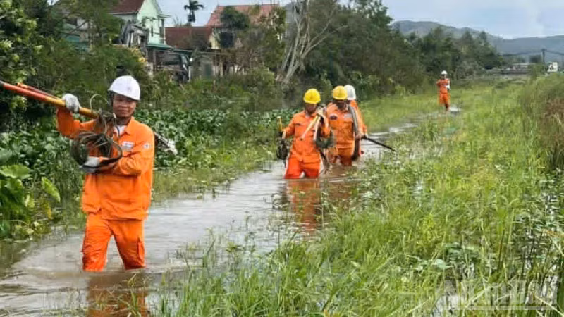 Lực lượng xung kích Công ty Điện lực Hưng Yên kéo dây, dựng cột điện băng qua các cánh đồng ngập nước ở Nghệ An.