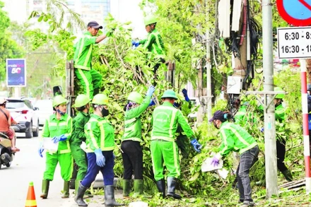 Thu gom rác thải và cành cây xanh trên tuyến đường Quang Trung, phường Thành Vinh.