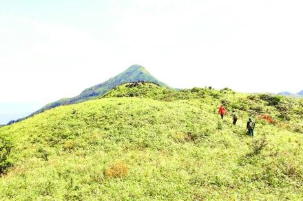 Chinh phục độ cao từ Pa Thiên lên đỉnh Voi Mẹp cao 1.700m.